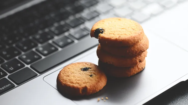 How to deal with cookie bars, or a summary of 2023 in the GDPR according to the Czech Data Protection Authority